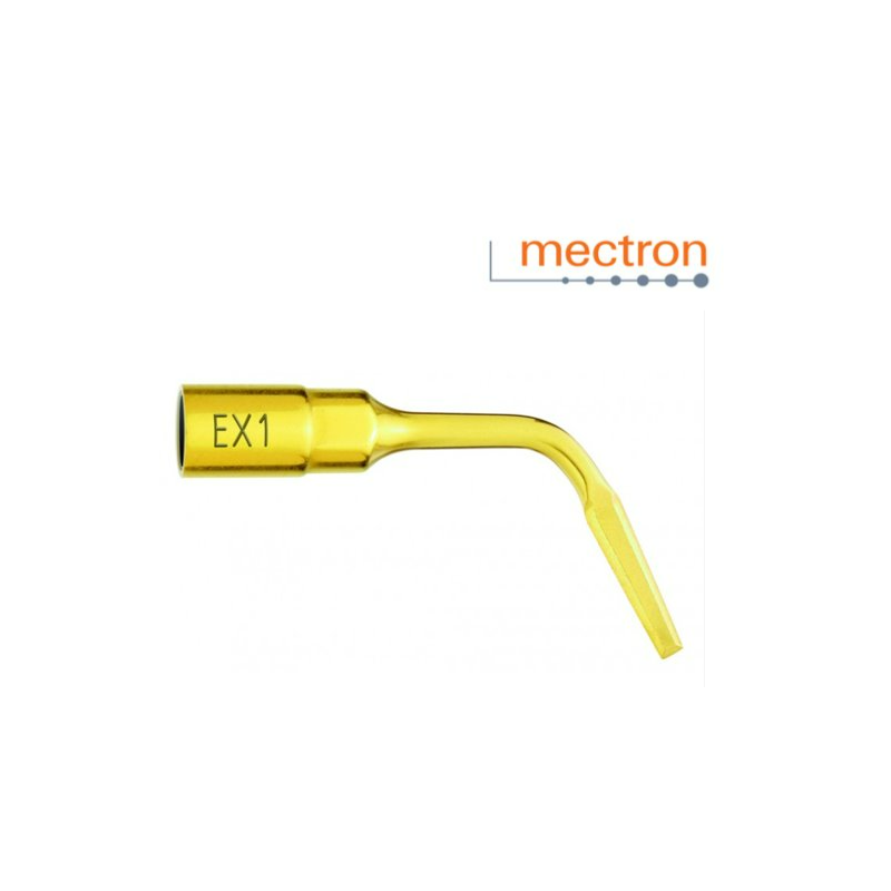Insert Extraction EX1