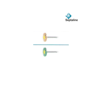 Polissoirs en Zircone - 5u - SEPTALINE