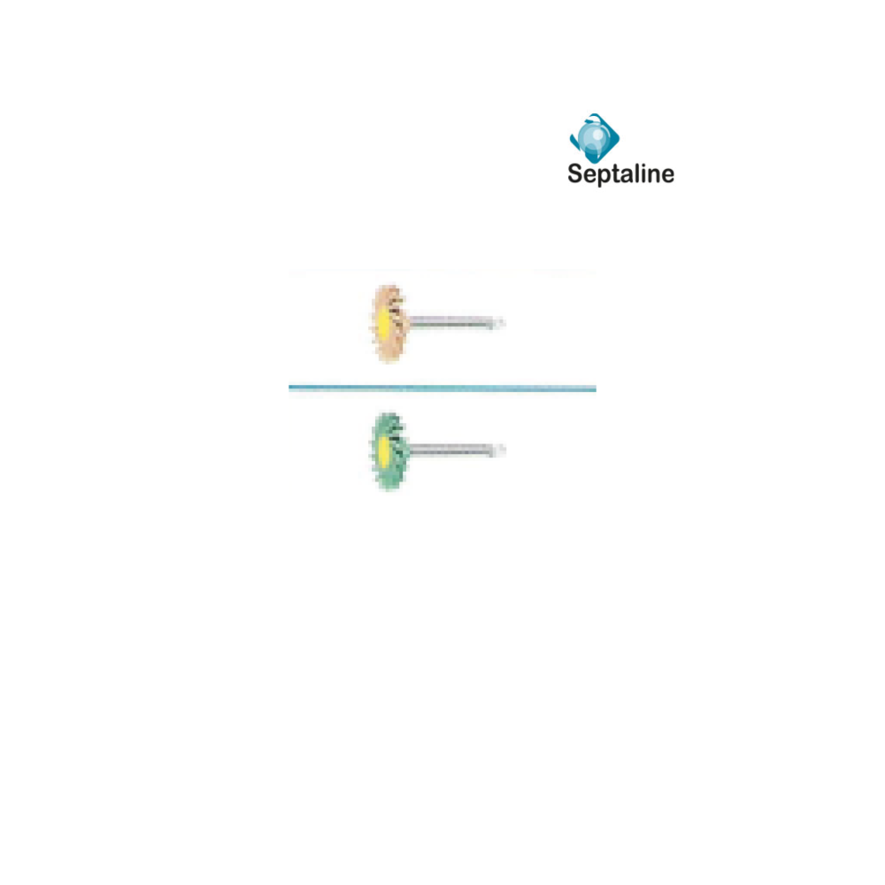 Polissoirs en Zircone - 5u - SEPTALINE