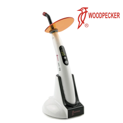 Lampe Led B WOODPECKER