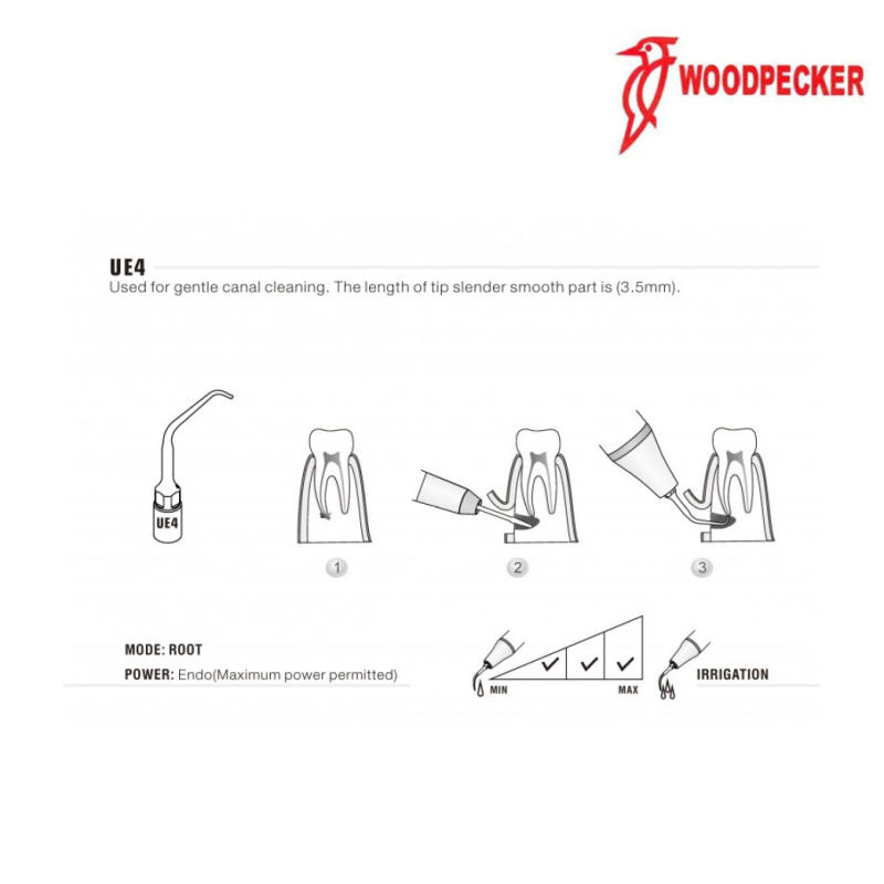 Insert UE4 - WOODPECKER