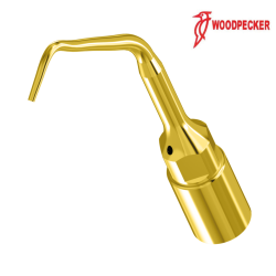 Insert UE3 - WOODPECKER