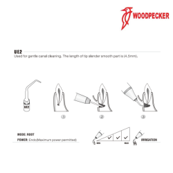 Insert UE2 - WOODPECKER