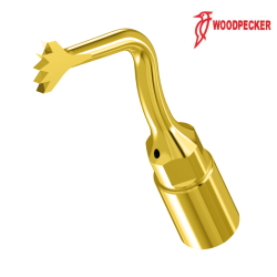 Insert US1 - WOODPECKER
