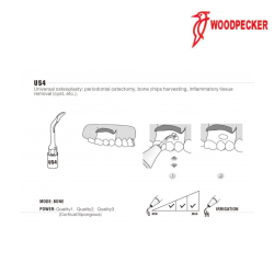 Insert US4 - WOODPECKER