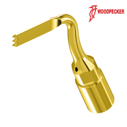 Insert US6 - WOODPECKER