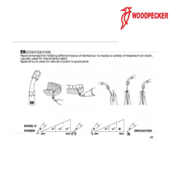 Insert ED8 - DTE WOODPECKER