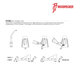 Insert ED11D - DTE WOODPECKER