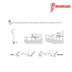Insert A2 - WOODPECKER