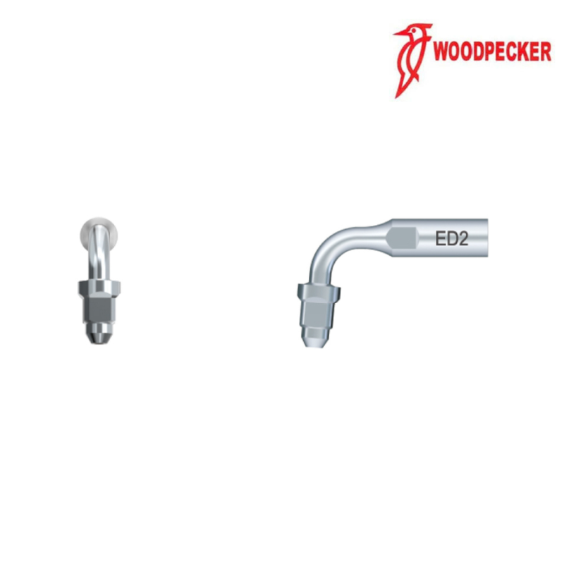 Insert ED2 - DTE WOODPECKER
