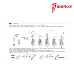 Insert ED2 - DTE WOODPECKER