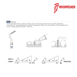 Insert GD20 - DTE WOODPECKER