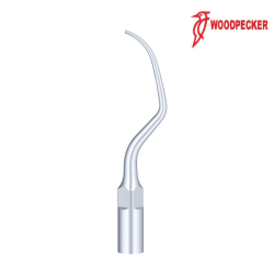 Insert P20 - WOODPECKER