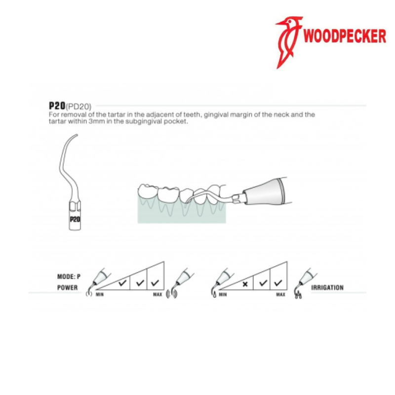 Insert P20 - WOODPECKER