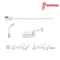Insert GD33 - DTE WOODPECKER