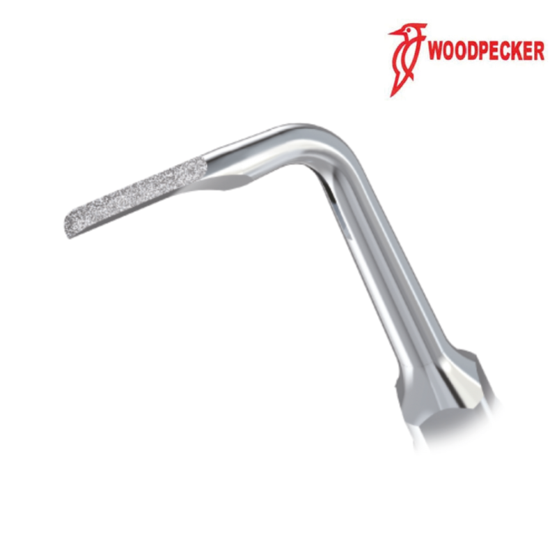 Insert GD33 - DTE WOODPECKER