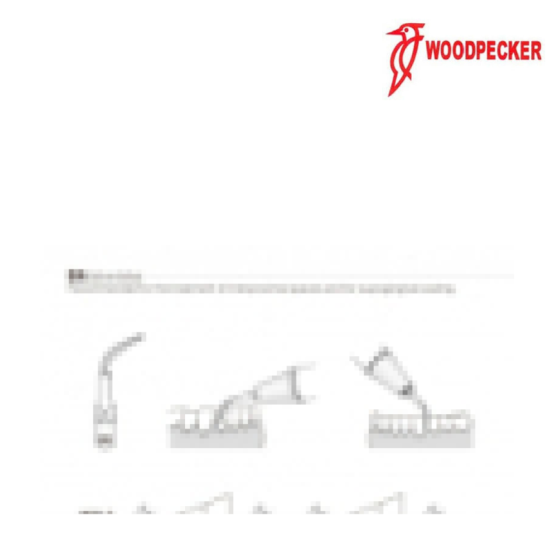Insert GD4 - DTE WOODPECKER