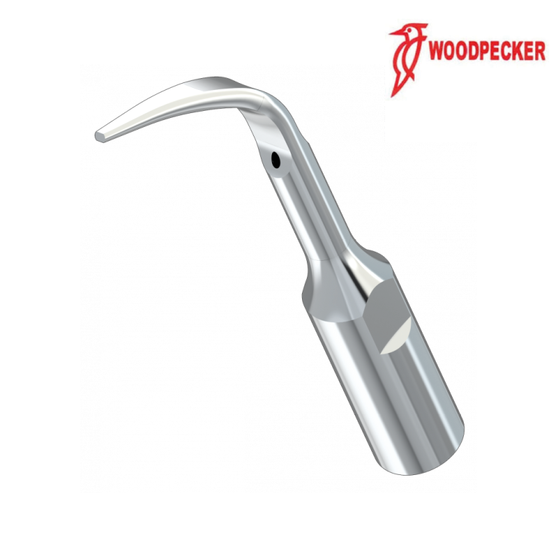 Insert GD4 - DTE WOODPECKER
