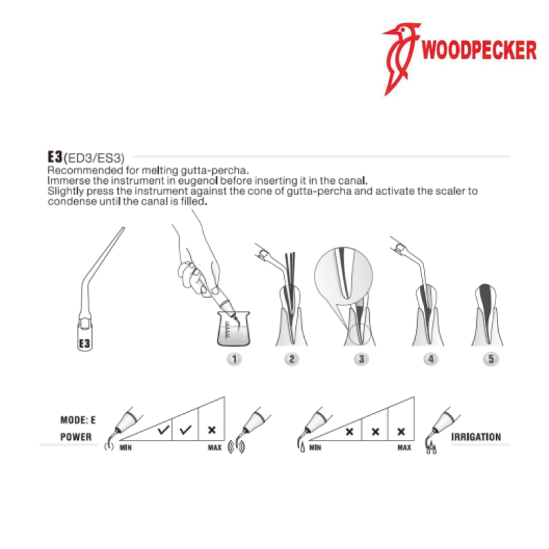 Insert ED3 - DTE WOODPECKER