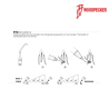 Insert ED10 - DTE WOODPECKER
