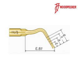 Insert UI1 - Woodpecker