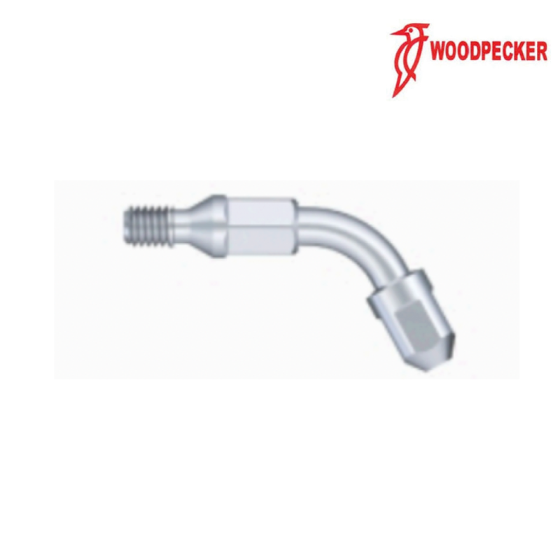 Insert EK8 - Woodpecker