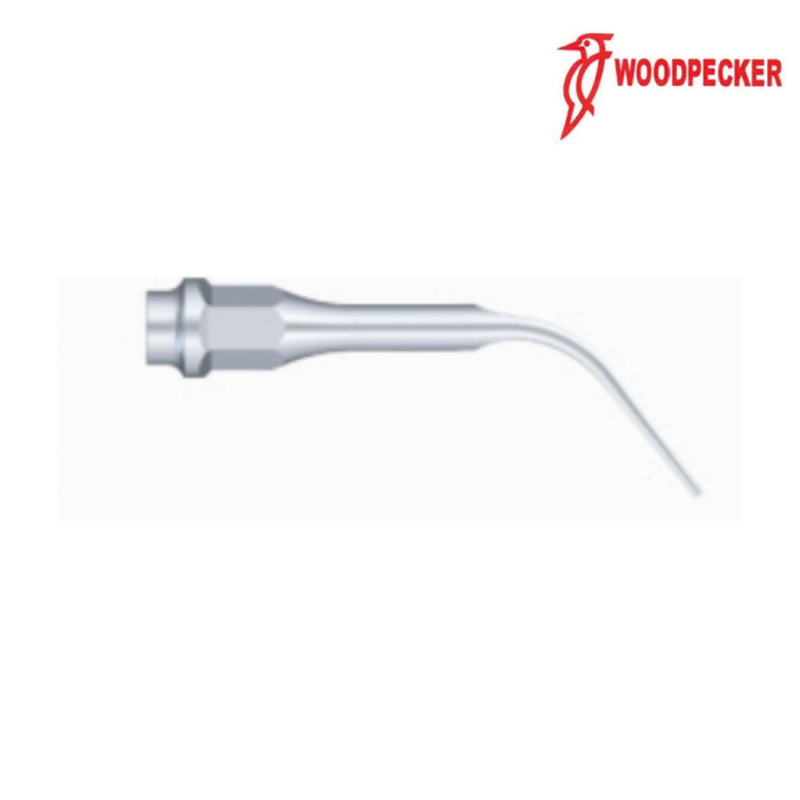 Insert GC1 - Woodpecker