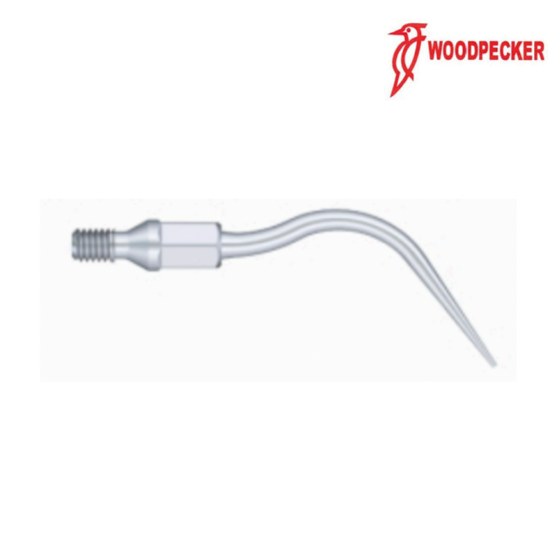 Insert GK5 - Woodpecker