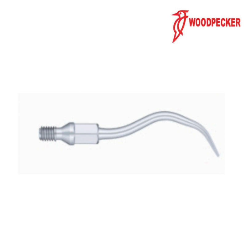 Insert GK1 - Woodpecker