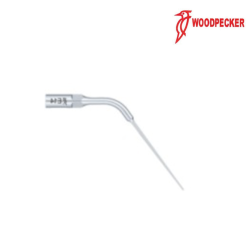 Insert E14 - Woodpecker