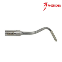 Insert G20 - Woodpecker