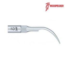 Insert G1 - Woodpecker