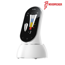 AI-PEX - WOODPECKER