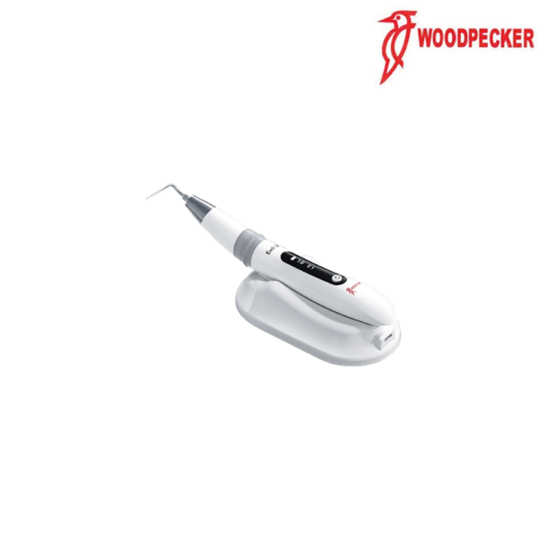 Endo 3 Activateur - WOODPECKER