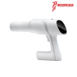 Ai Ray - WOODPECKER