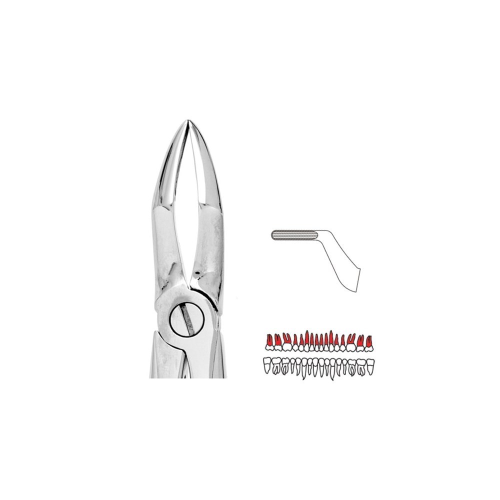 Forceps No.51 - 1pc - UNODENT