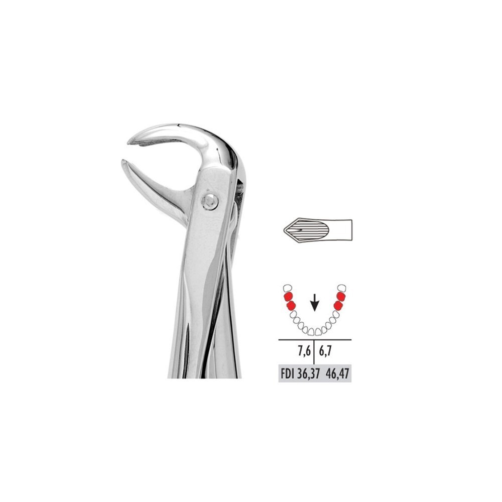 Forceps No.73 - 1pc - UNODENT