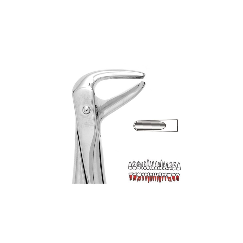 Forceps No.74 - 1pc - UNODENT