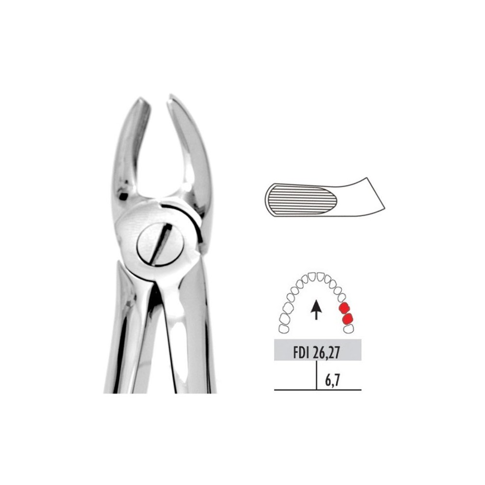 Forceps No.18 - 1pc - UNODENT
