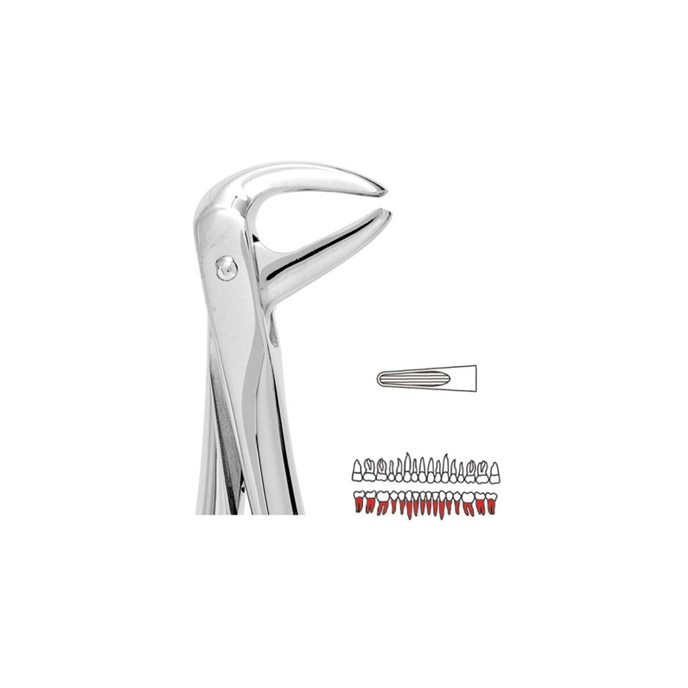 Davier N°74N - 1u - UNODENT