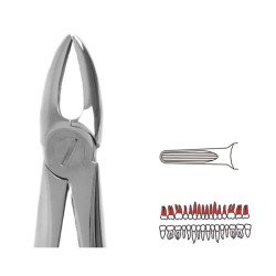 Davier N°113 - UNODENT - 1u