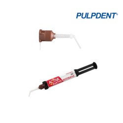 Embout Activa long - 50u - PULPDENT