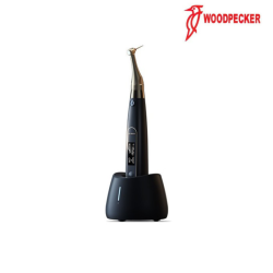 AI-MOTOR Black Edition - WOODPECKER