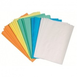 Protection Plateau - 250pcs