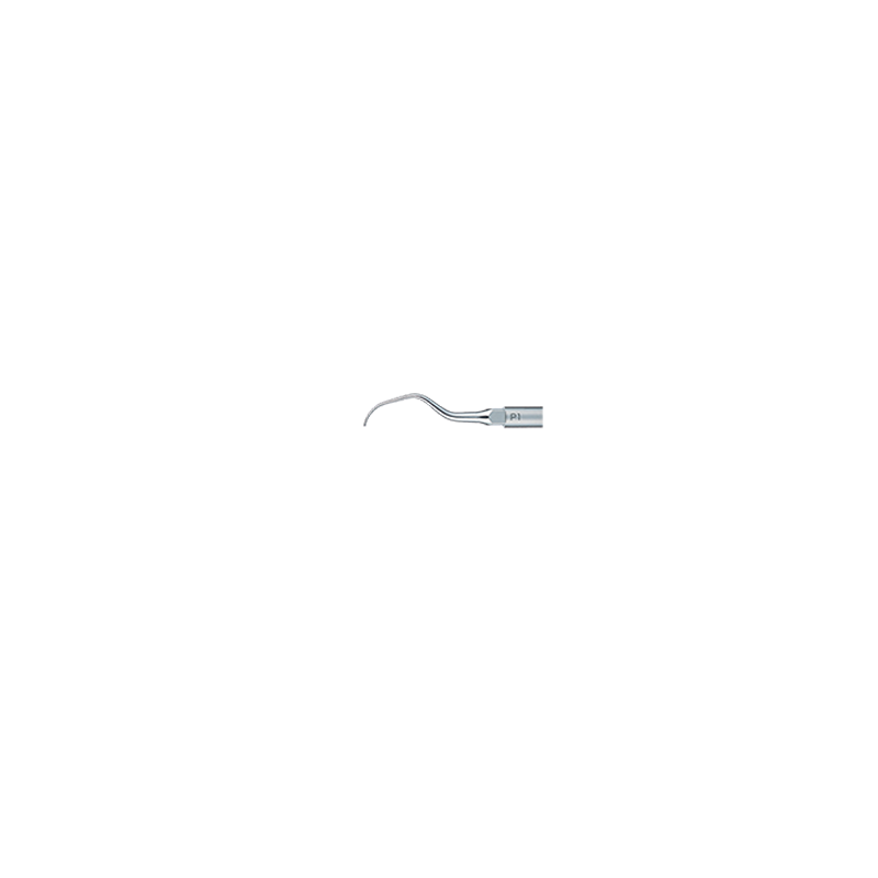 Insert N°P1 - NSK