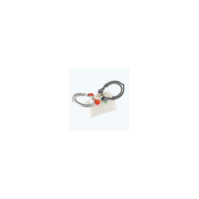 Recharge 2 bagues + 4 paires d'embouts - PD DENTAL