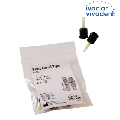 Embout intra canalaire blanc + Embout Noir fuselé vert - 5+5u - IVOCLAR