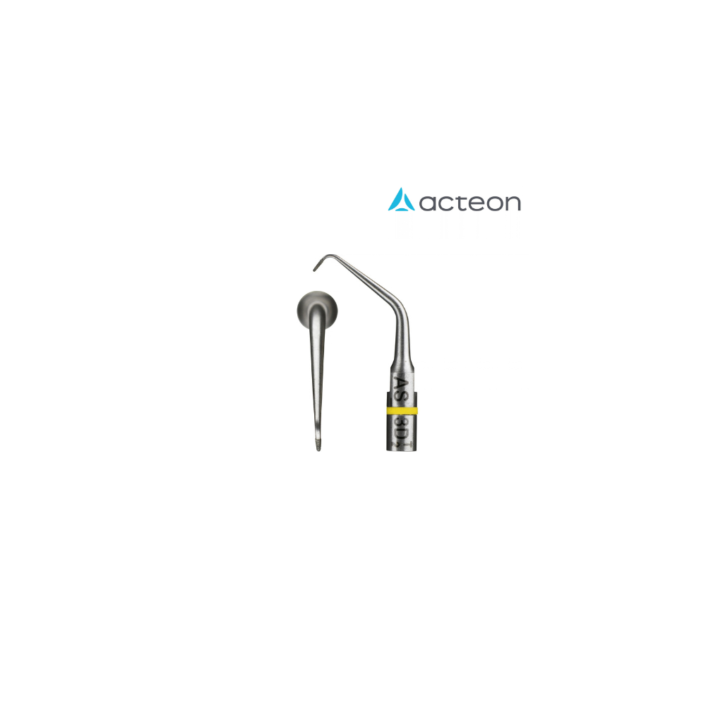 Insert Endo Success AS3D - ACTEON