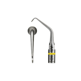 Insert Endo Success AS3D - ACTEON