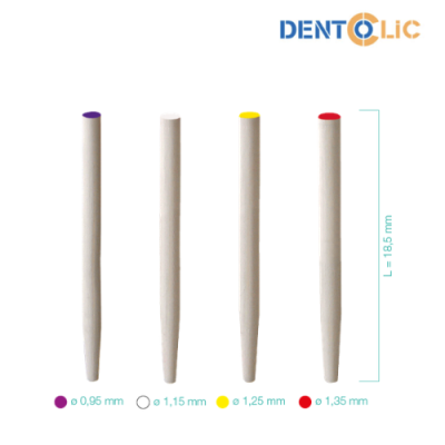 Tenons fibre de verre - 5 pcs - DENTOCLIC